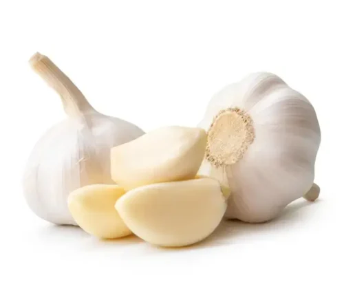 Garlic
