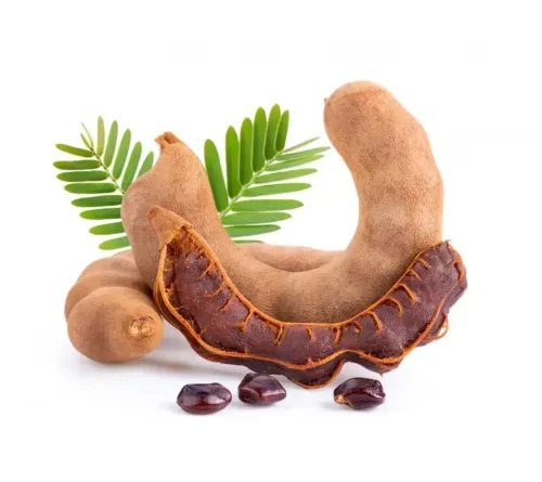 Tamarind - Image 3