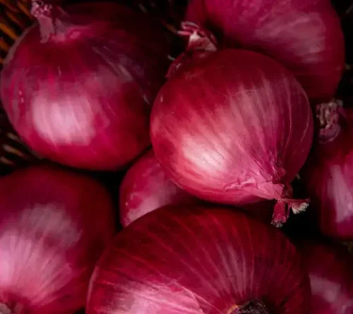 Bangalore Rose Onions - Image 2