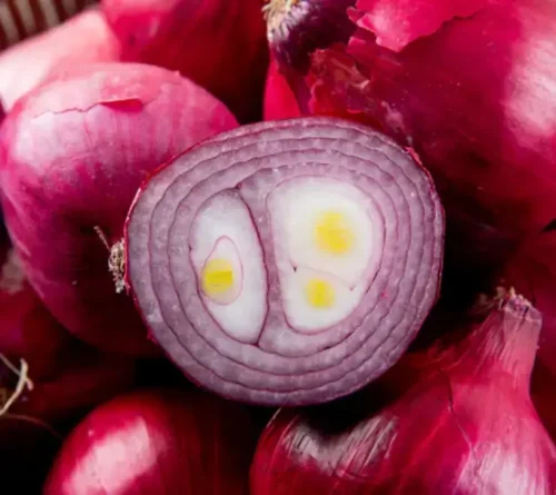 Bangalore Rose Onions - Image 3