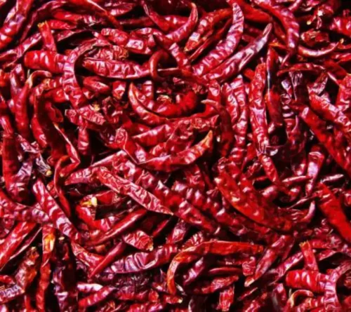 Chilli - Image 5