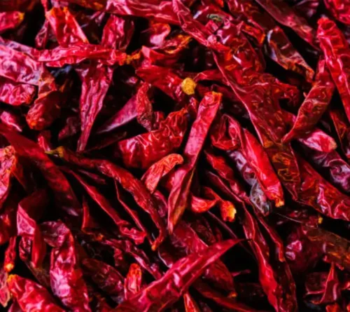 Chilli - Image 4
