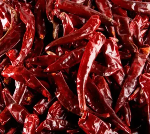 Chilli - Image 3