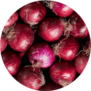 Onion