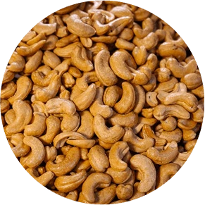 Cashew